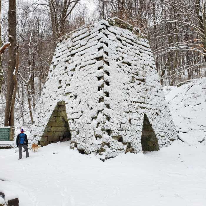 Near Mont Chateau Trail (North)