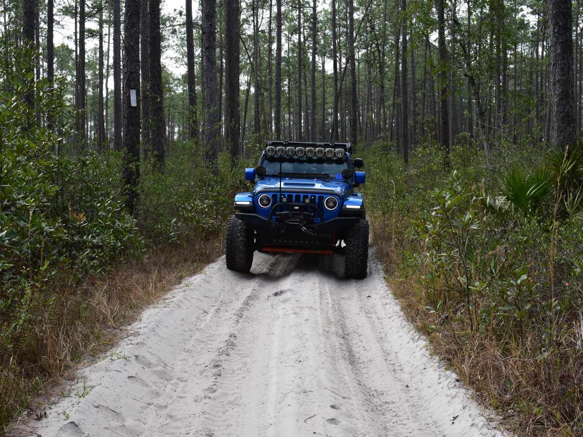 FR 238-A trail photo