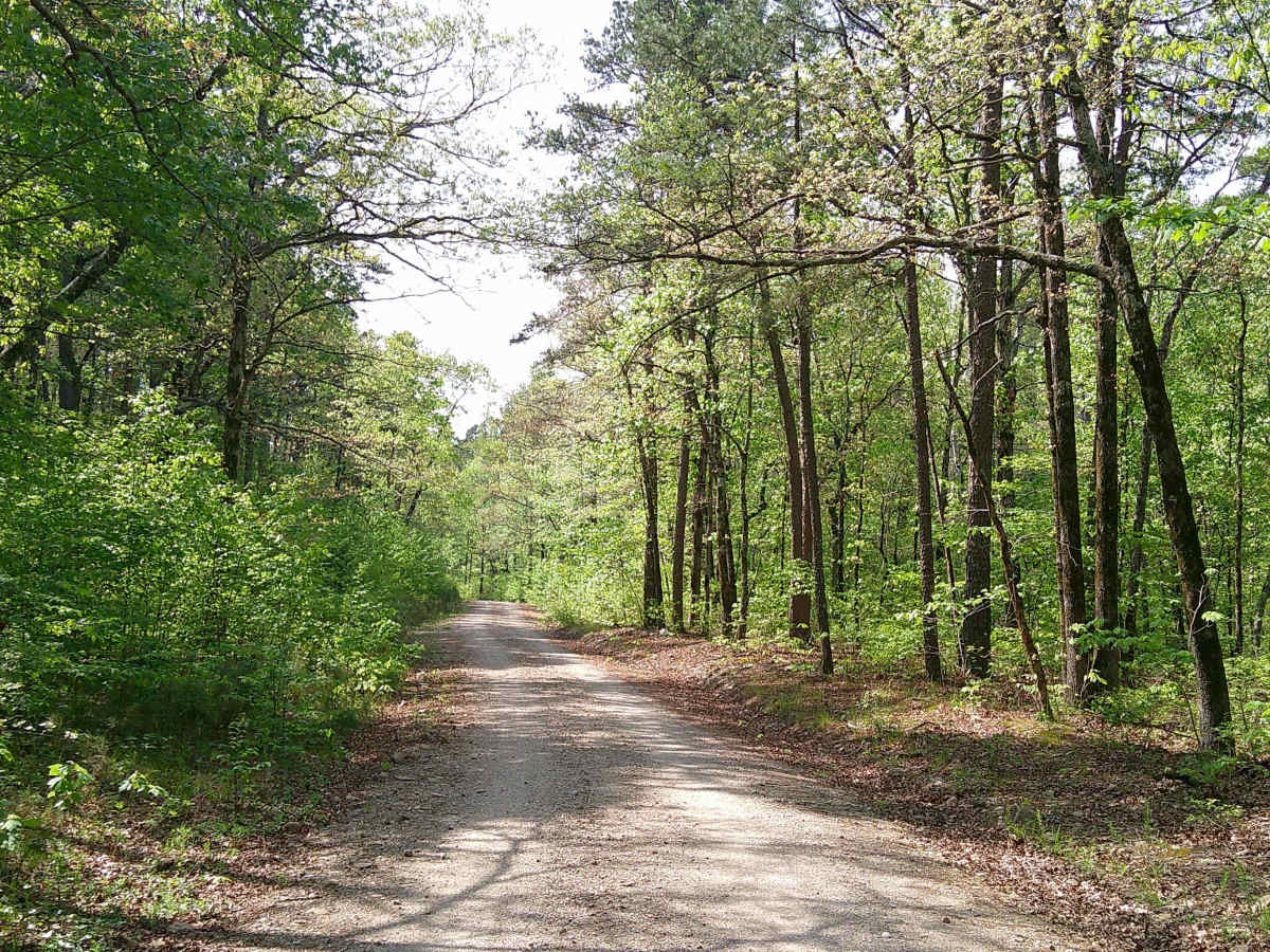 Bear Creek photo 3