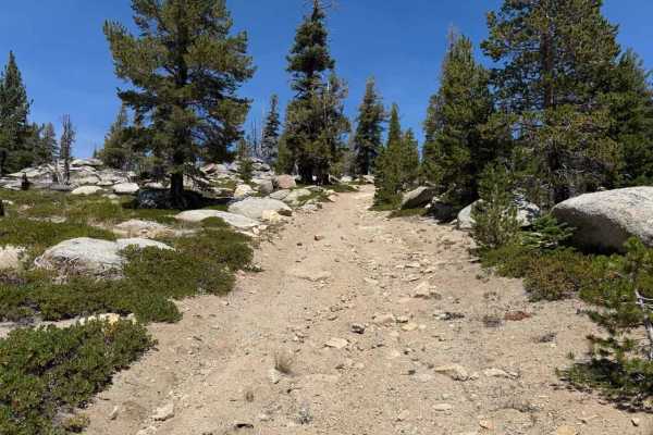 Burnside Spur - FS 31205A