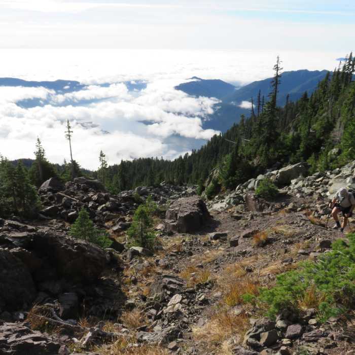 Through a rubble field on Mt. Ellinor trail. Near Mt. Ellinor Winter Route