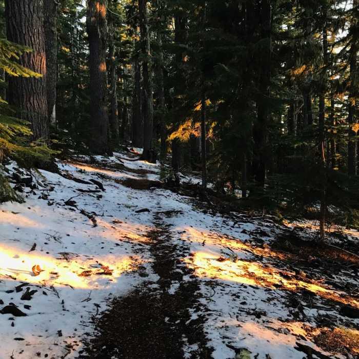Near Diamond Lake to Odell Lake
