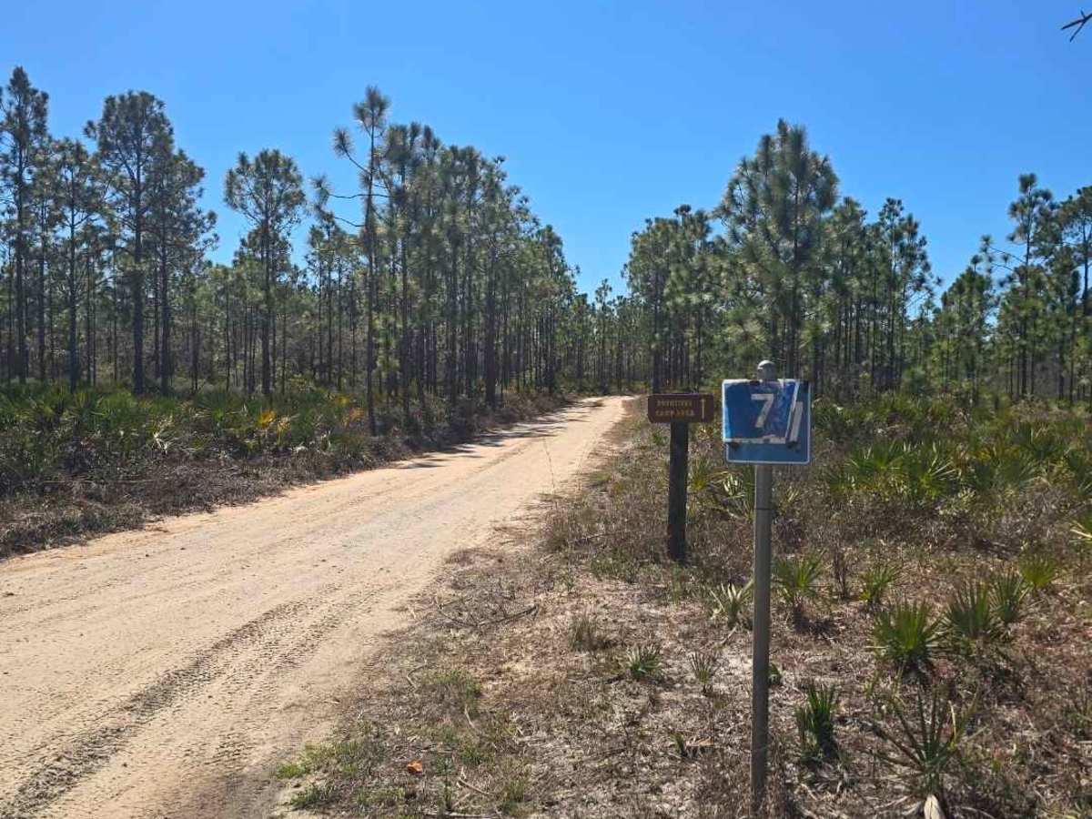 Road 7 trail photo