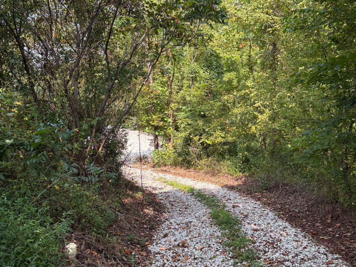 Martin County Trailhead to Trail 1 photo 3