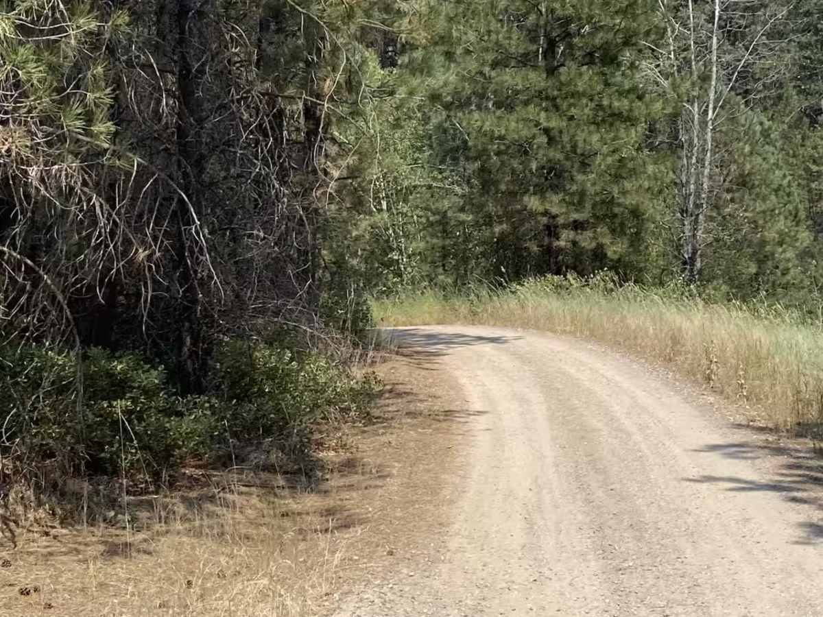 Grayback Gulch - 347 photo 5