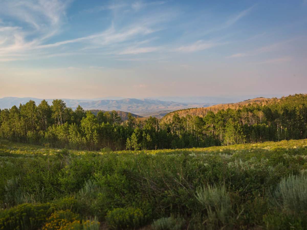Big Springs - FS 70109 photo 2