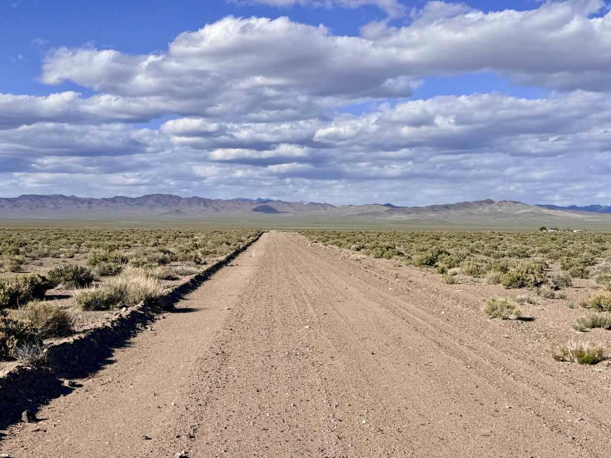 Dicks Road trail photo