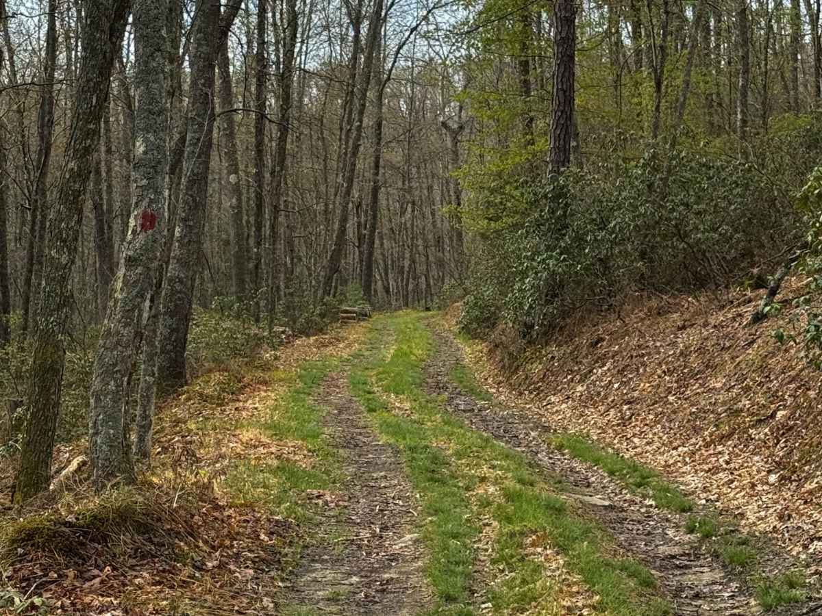 Eagleton Fields Trail photo 4