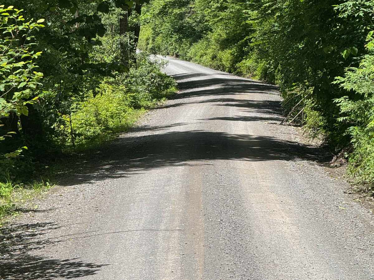 Bailey Run Road photo 2