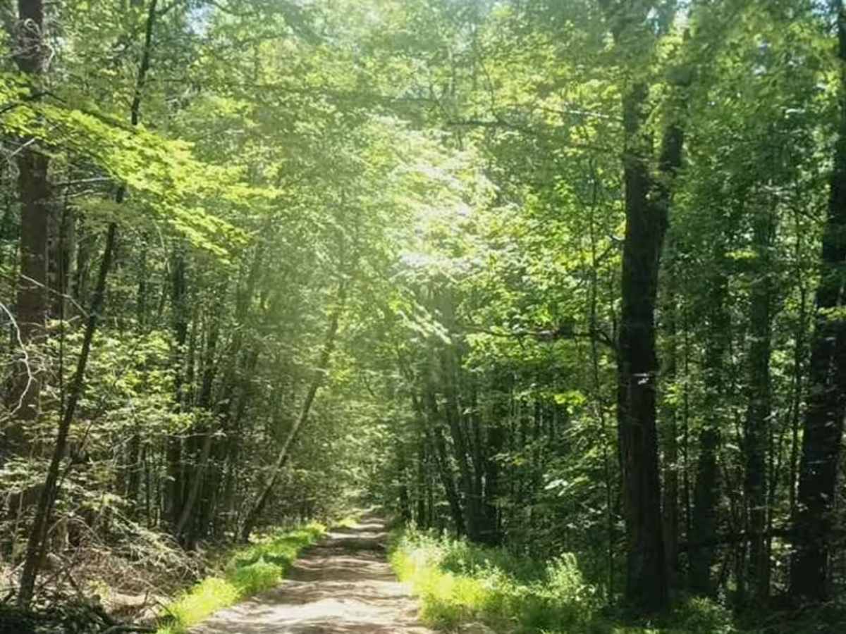 Beam Hill Road trail photo