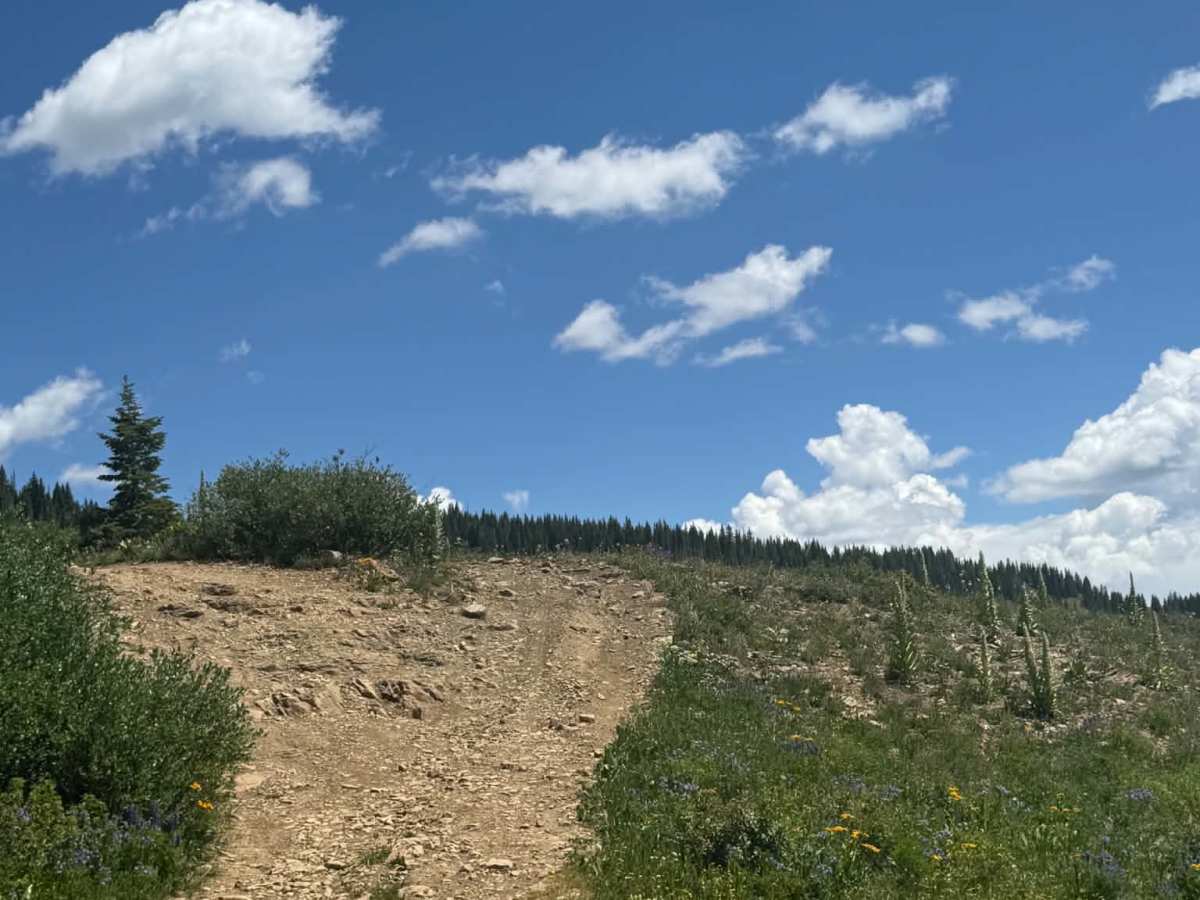 Blue Lake Trail photo 5