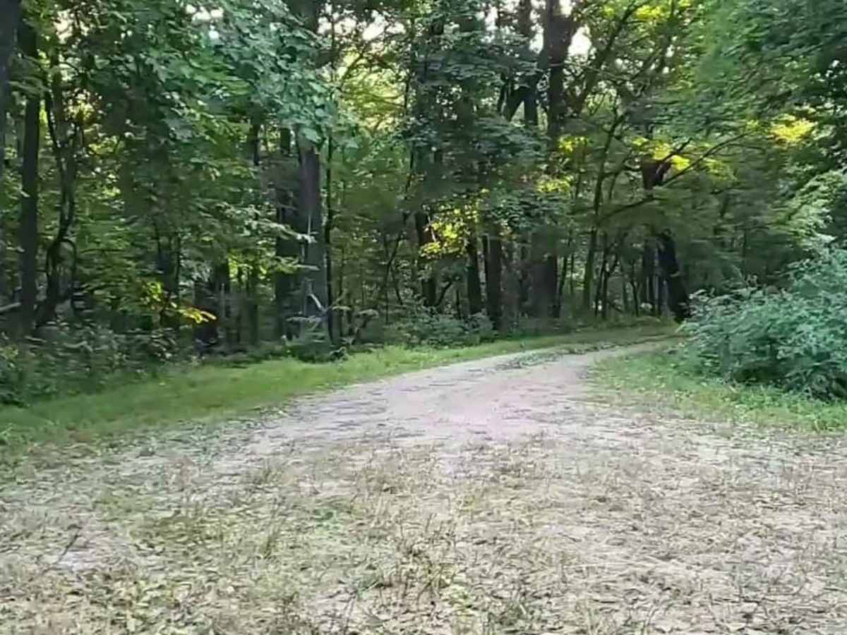 Middle Creek photo 4