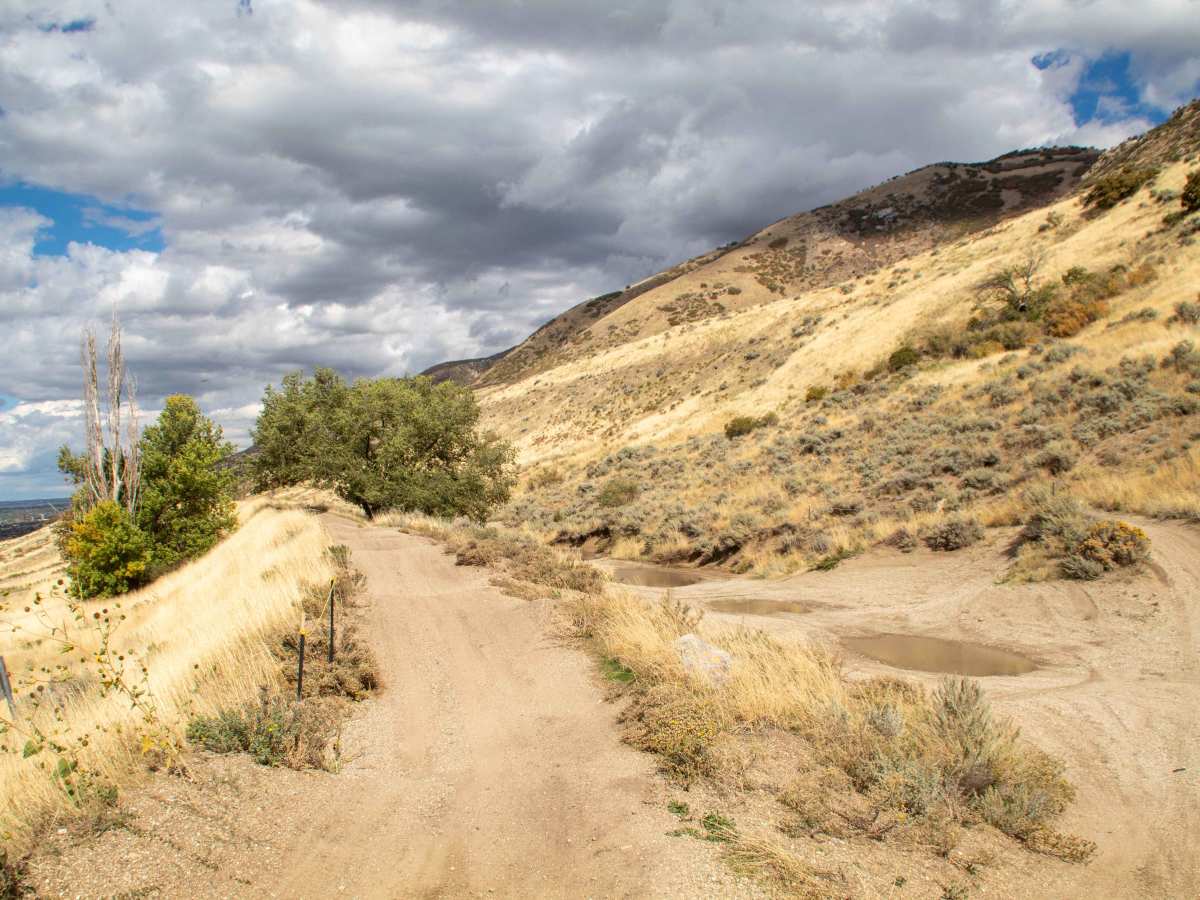 Centerville Offroad Bowl Upper Trail photo 4