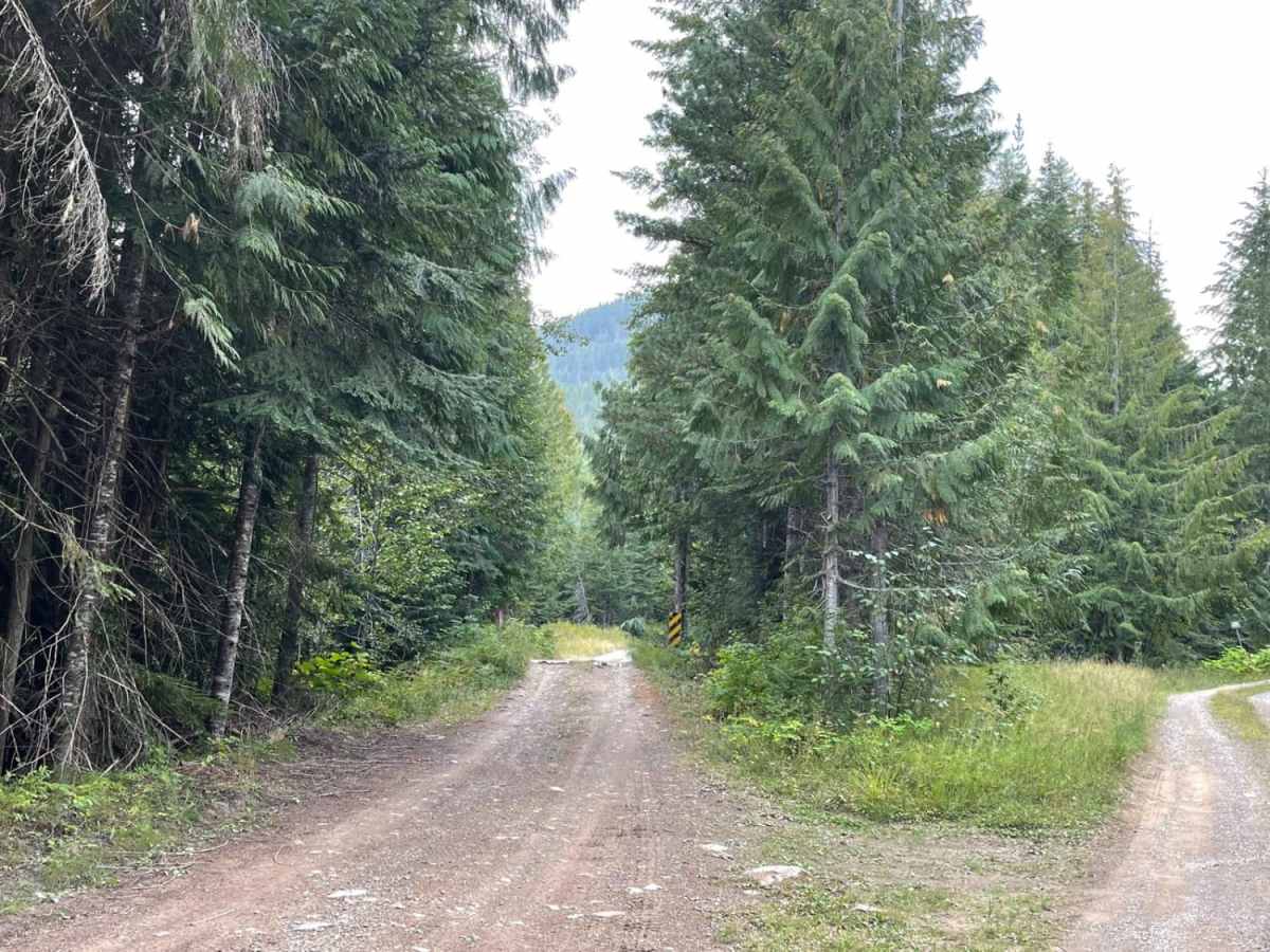 Twin Creek photo 3