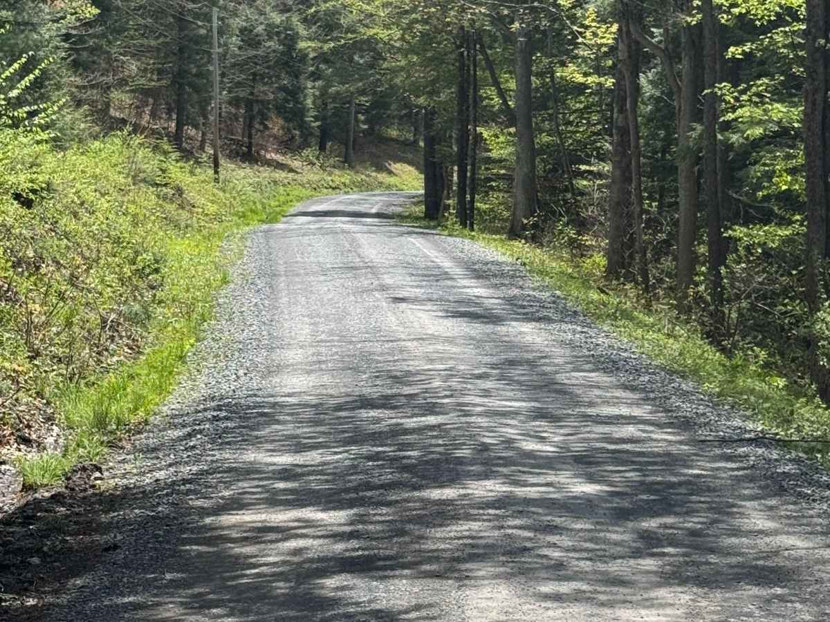 Porcupine Road photo 5