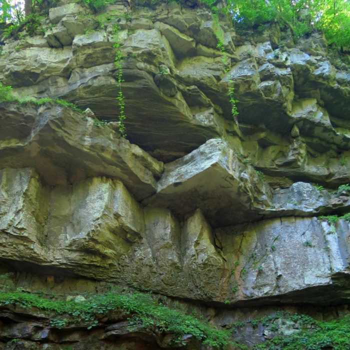 Near Cedar Sink Trail Near Cedar Sink Trail