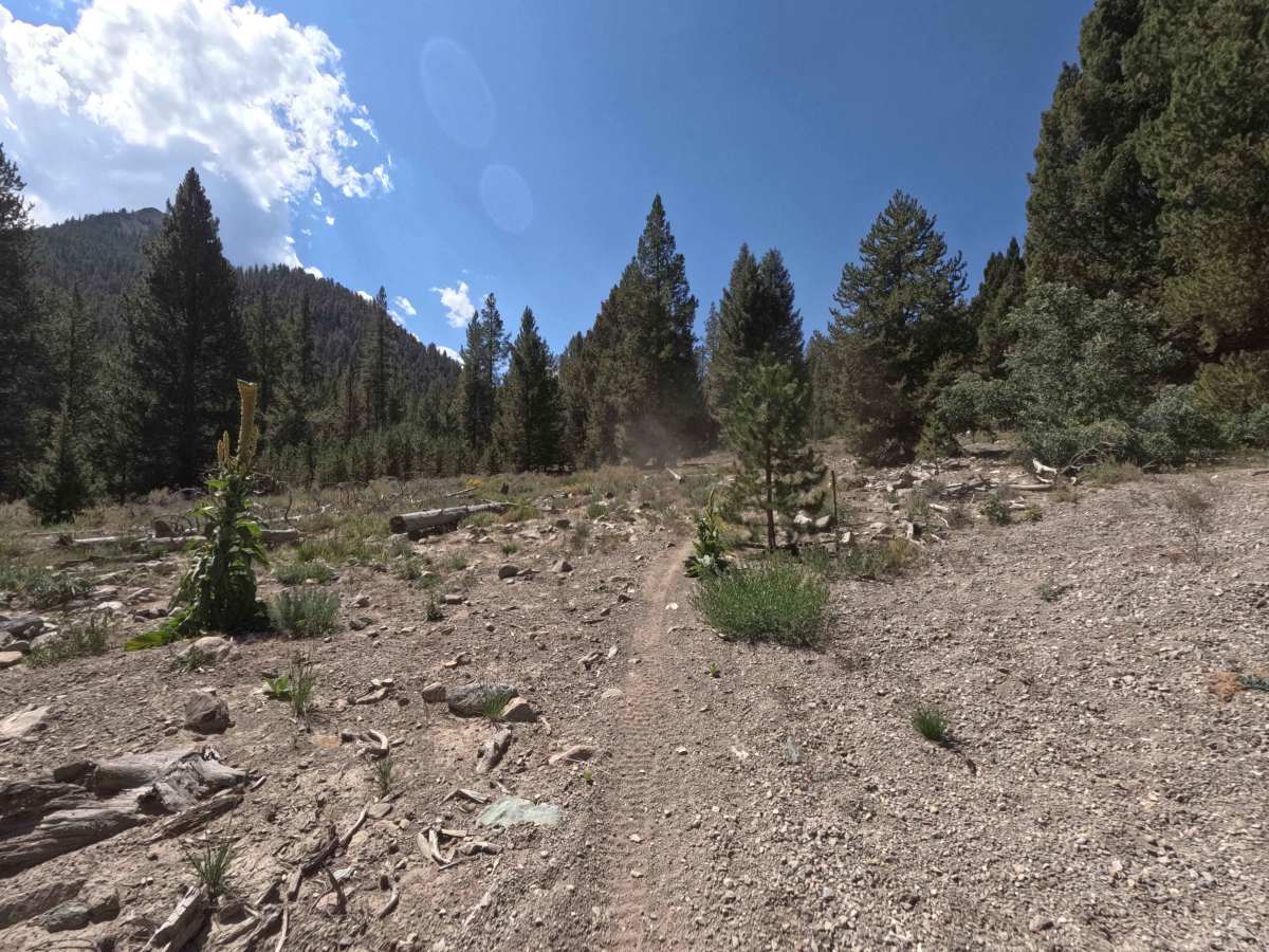 Germania Creek - FS 7111 photo 4