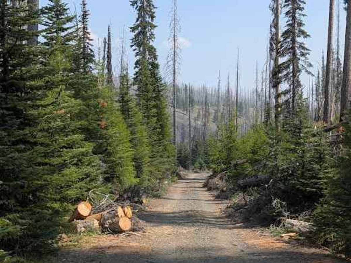 FS 3530 trail photo