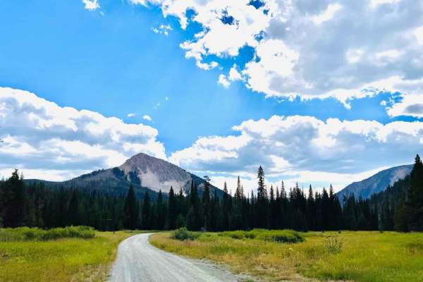 Beaver Creek Gallatin Forest