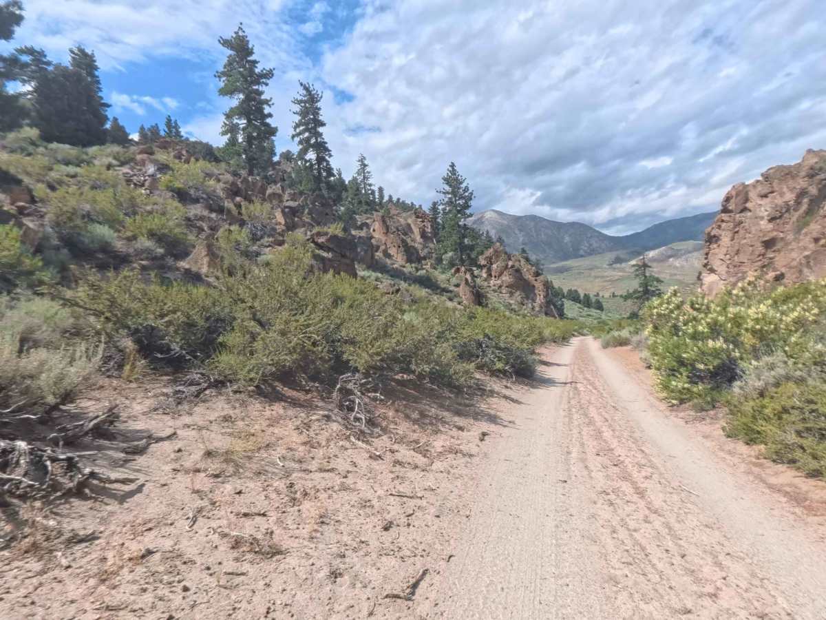 Bishop Tuff Cutoff - FS 4S38A trail photo