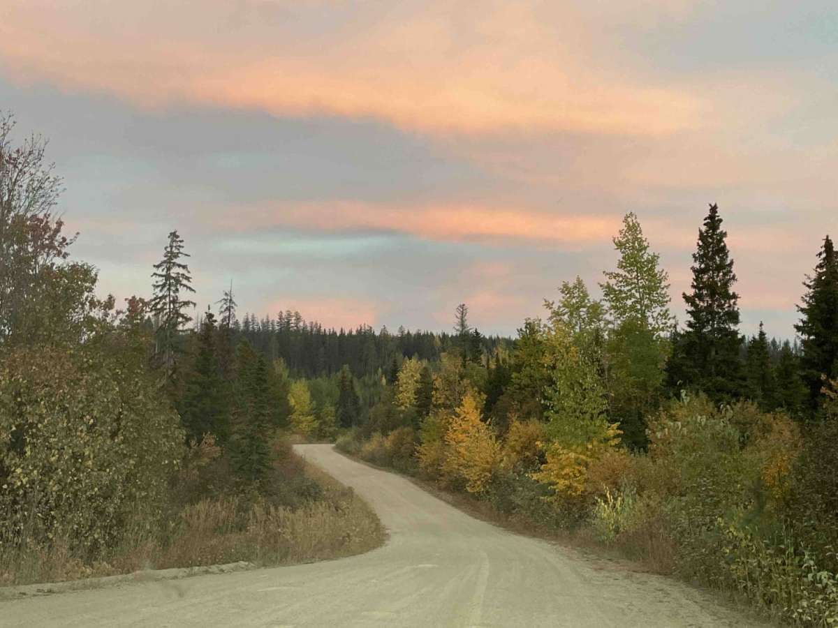 Buck Hills FSR trail photo