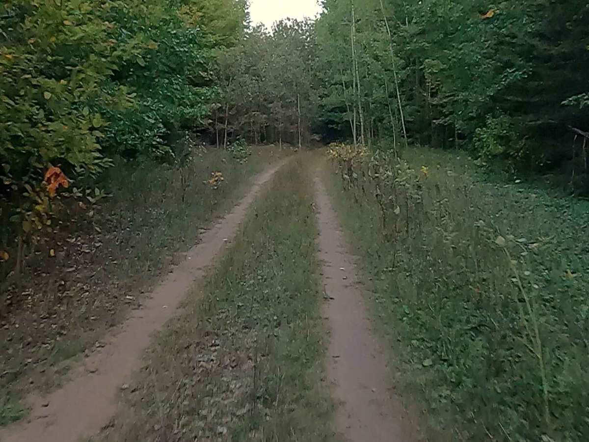 Weiss - FS 3445  trail photo