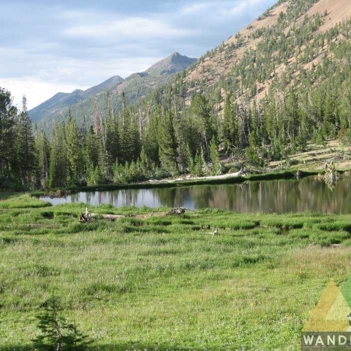 Near Jarbidge River