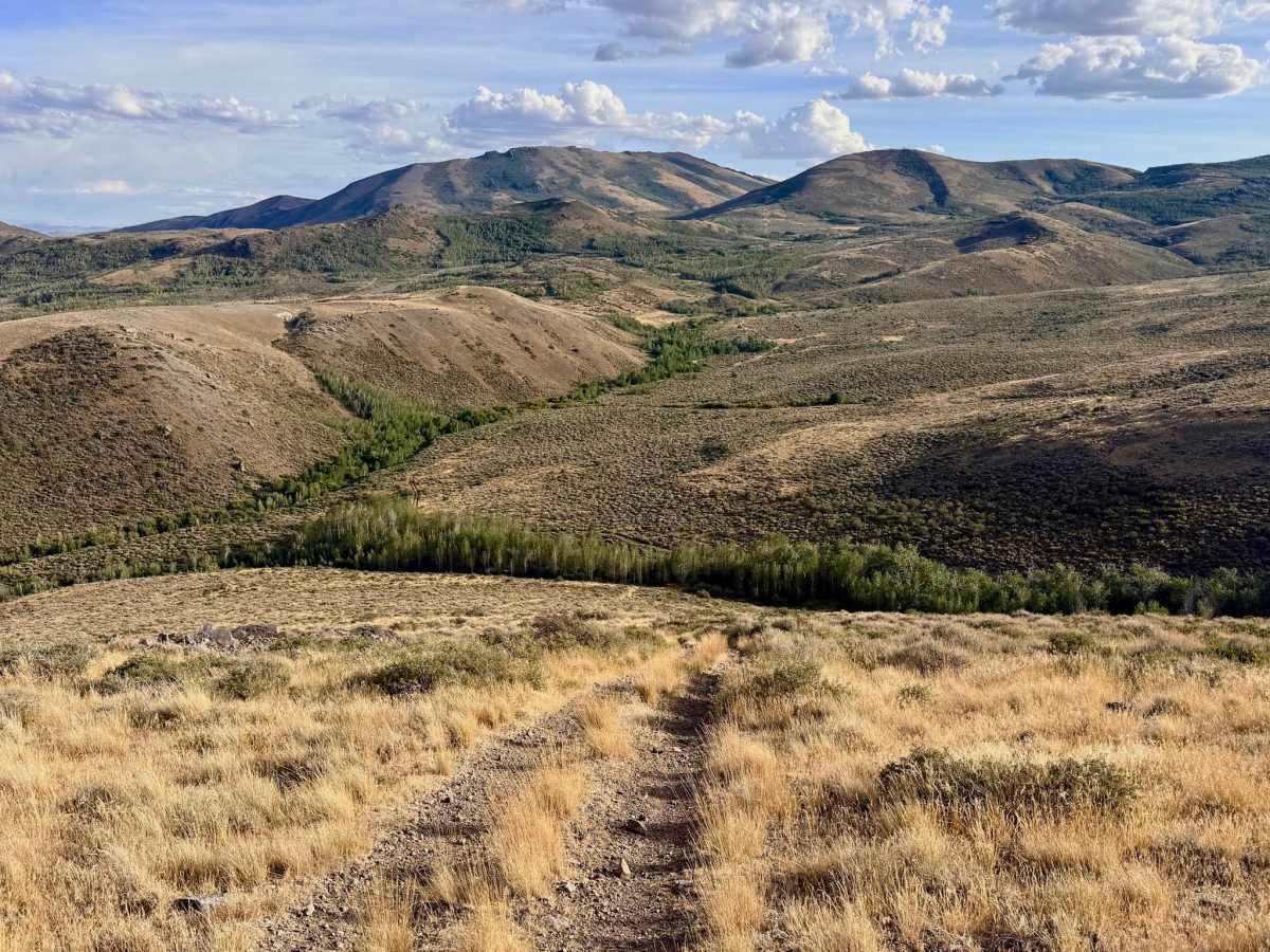 North 5 - FS 16479 trail photo