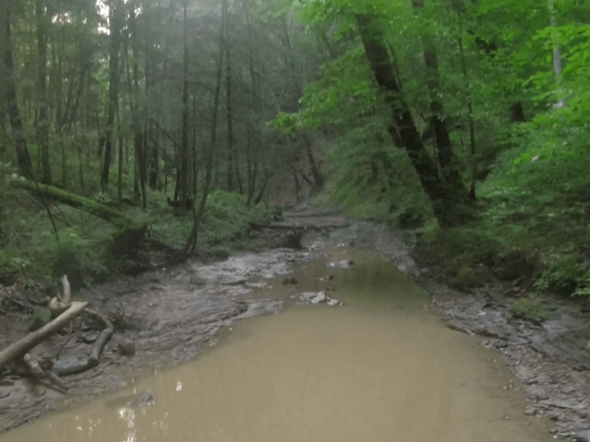 Wrongturn Hill photo 3