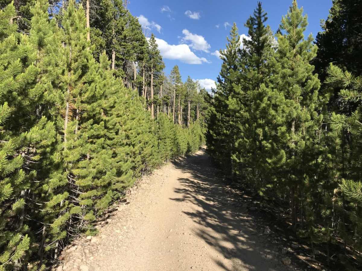 Killpecker Road photo 6