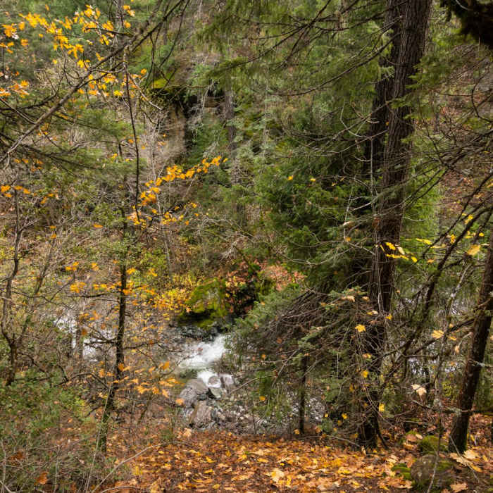 Near Faery Falls in Ney Spring Canyon
