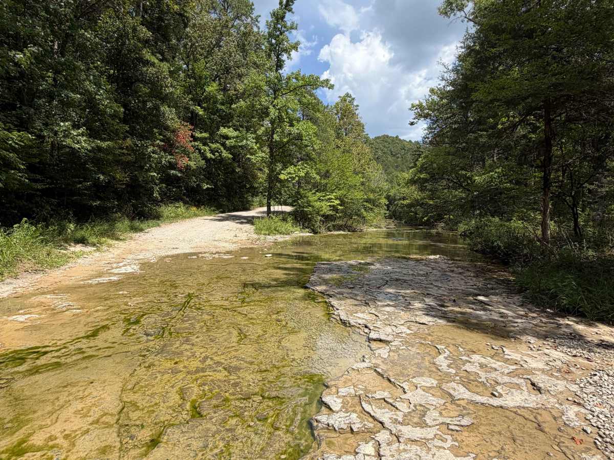 County Road 114 photo 6