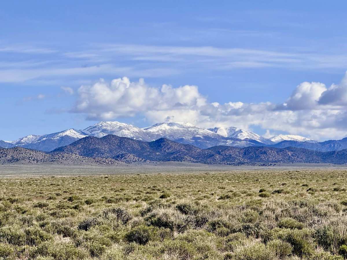 Baxter Spring - FS 44523 photo 2