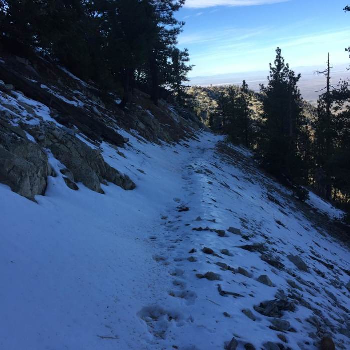 Near Pleasant View Ridge from Islip Saddle