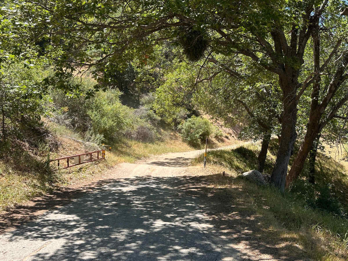 Jackrabbit Run photo 3