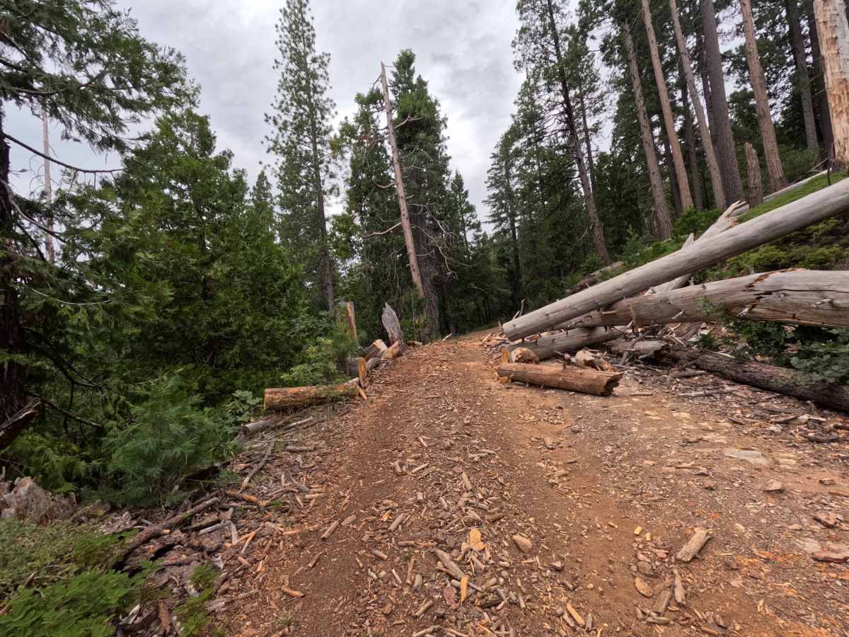 FS 3N07 trail photo