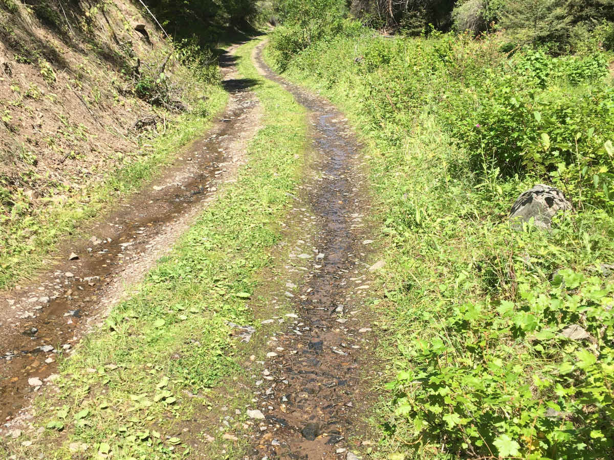 Copper Queen Mine  Road  photo 4