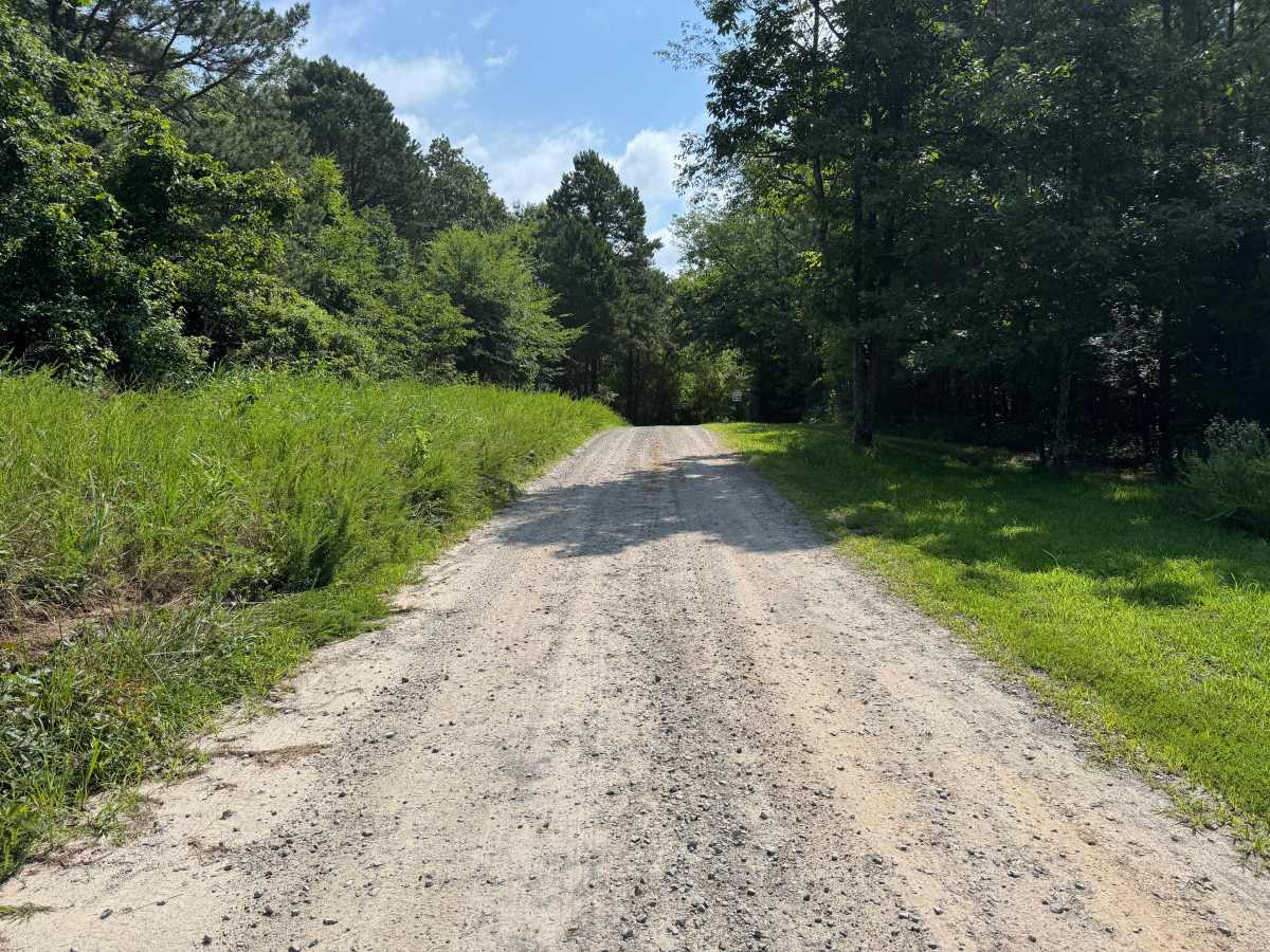 County Road 3857 photo 5