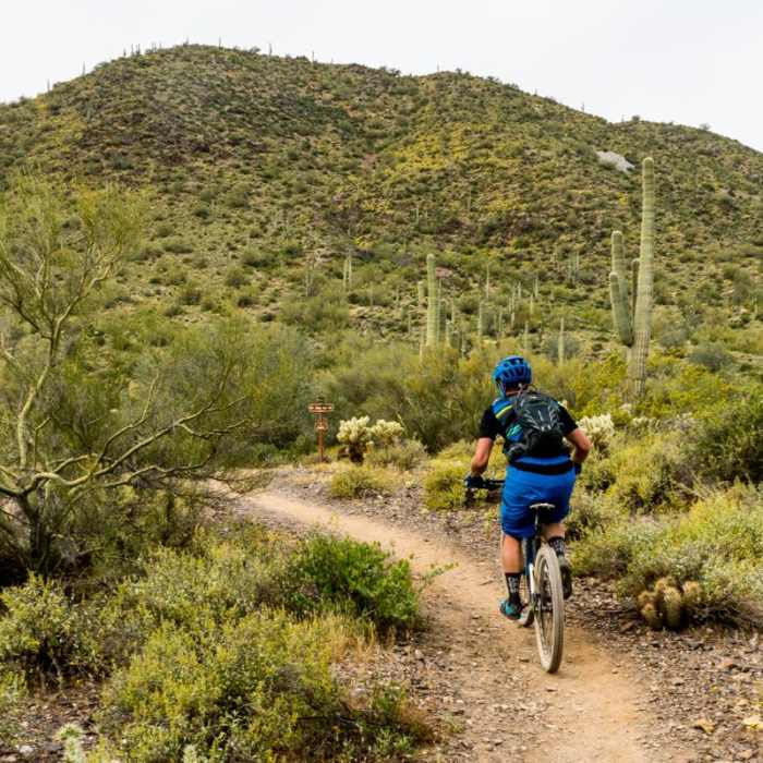 Near Quartz Loop Trail