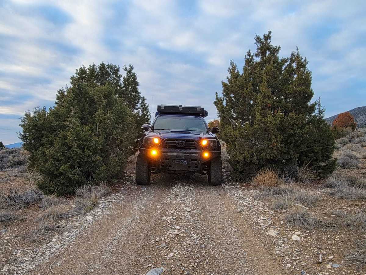 Pack Trail 2 photo 3