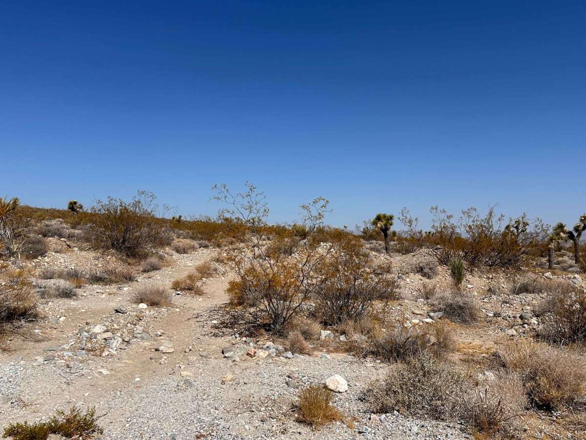 Coyote Gap photo 5
