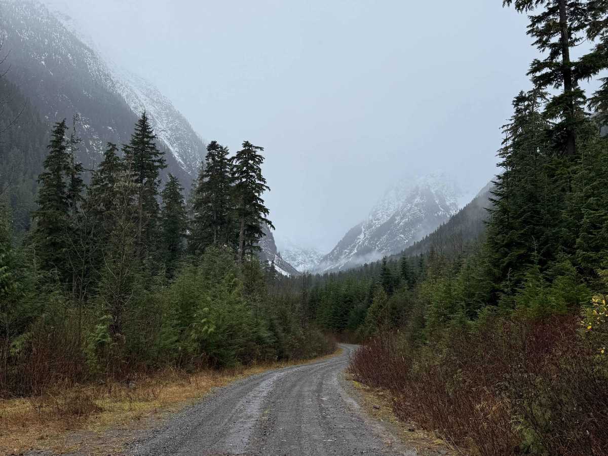 Clore Forest Service Road trail photo