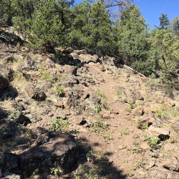There's a hard left at the top then a hard right at the bottom. Near Las Vistas de Questa Trail
