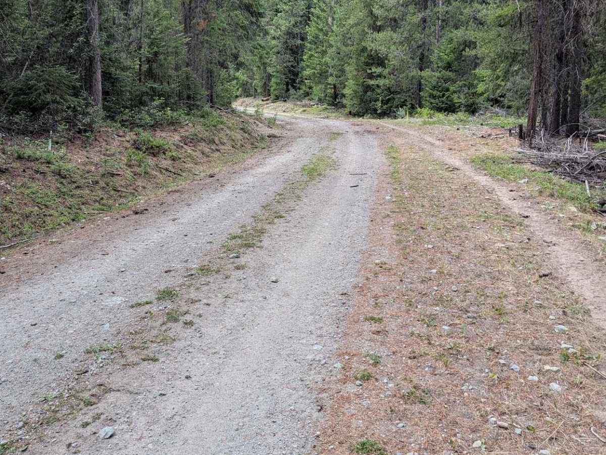 Twin Peaks Road photo 4