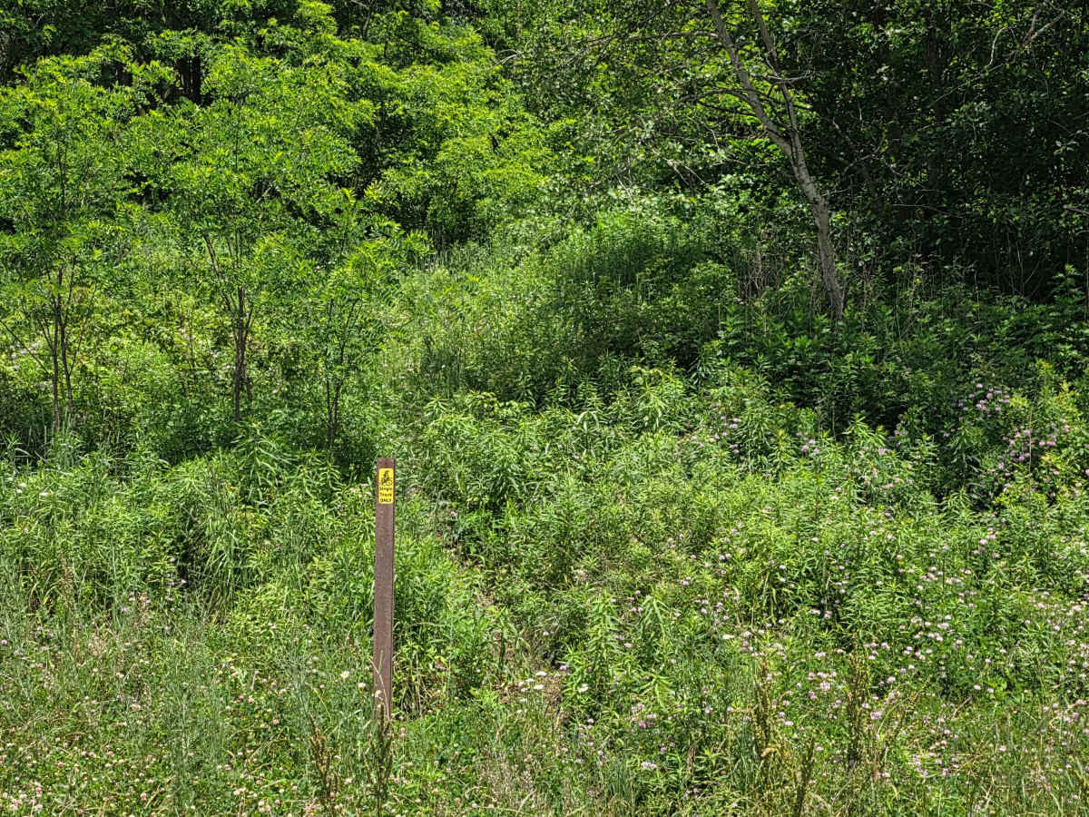 Single Track NA photo 2