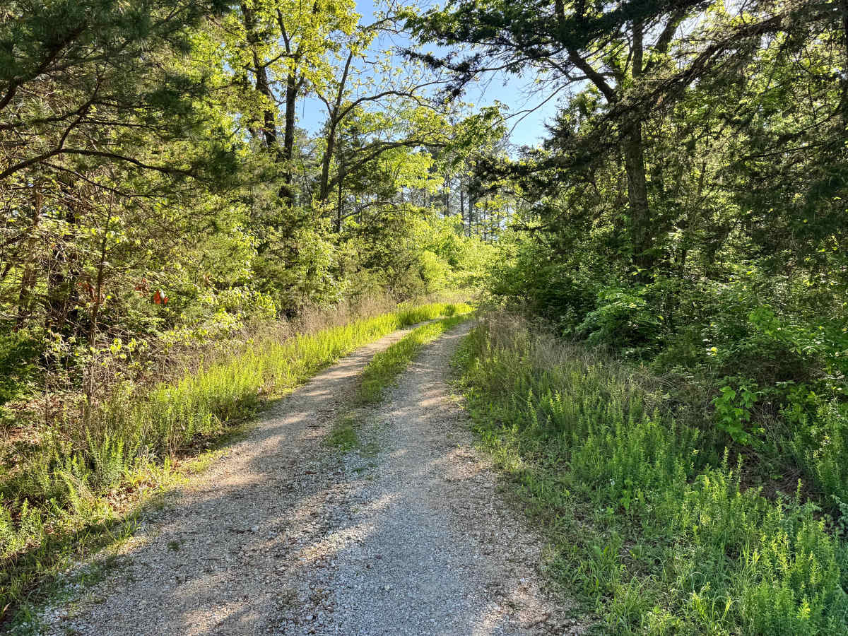 Independent - FS 1756 trail photo