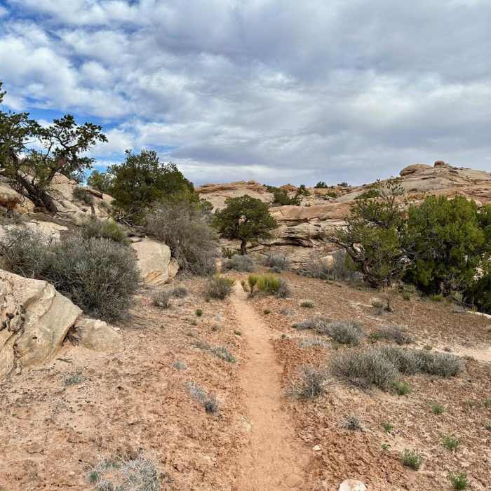 Near Dark Canyon via Sundance Trail