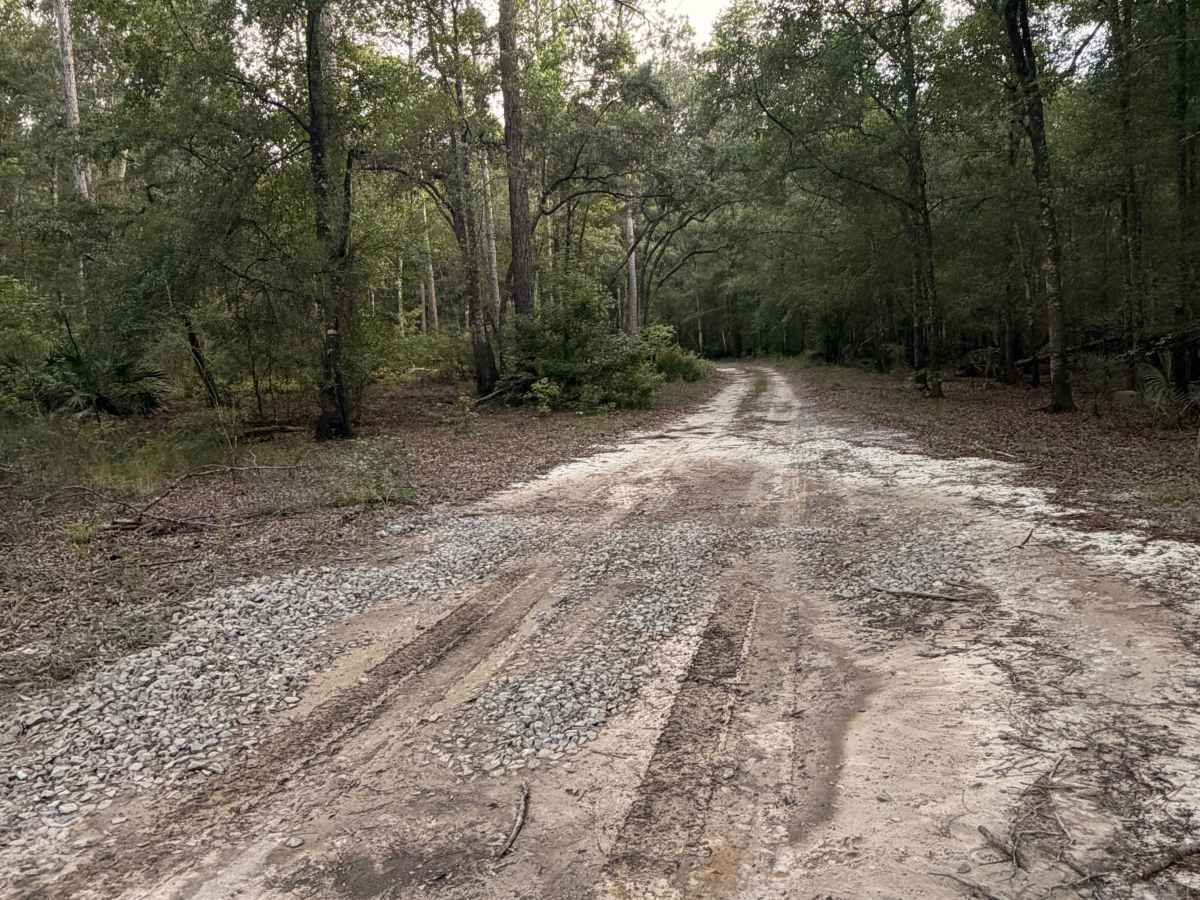 Lower Road photo 6