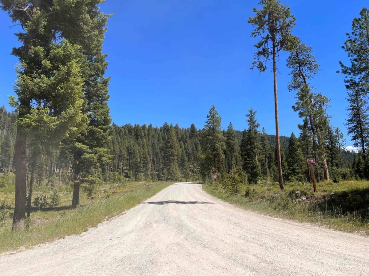 Little East Fork photo 3