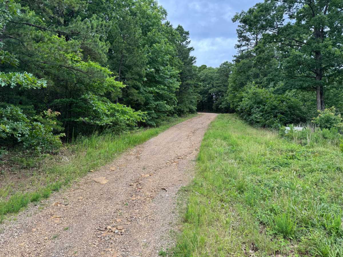 Big Buck trail photo